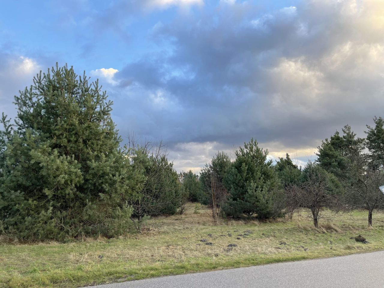 Działka budowlana Uśniaki. Zdjęcie 8