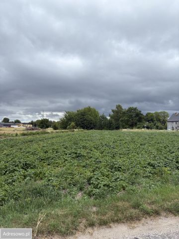 Działka rolna Golczewo, ul. Niepodległości. Zdjęcie 1