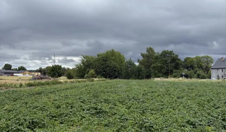 Działka rolna Golczewo, ul. Niepodległości