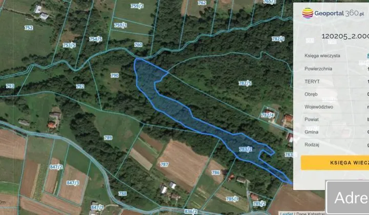 Działka leśna Gosprzydowa