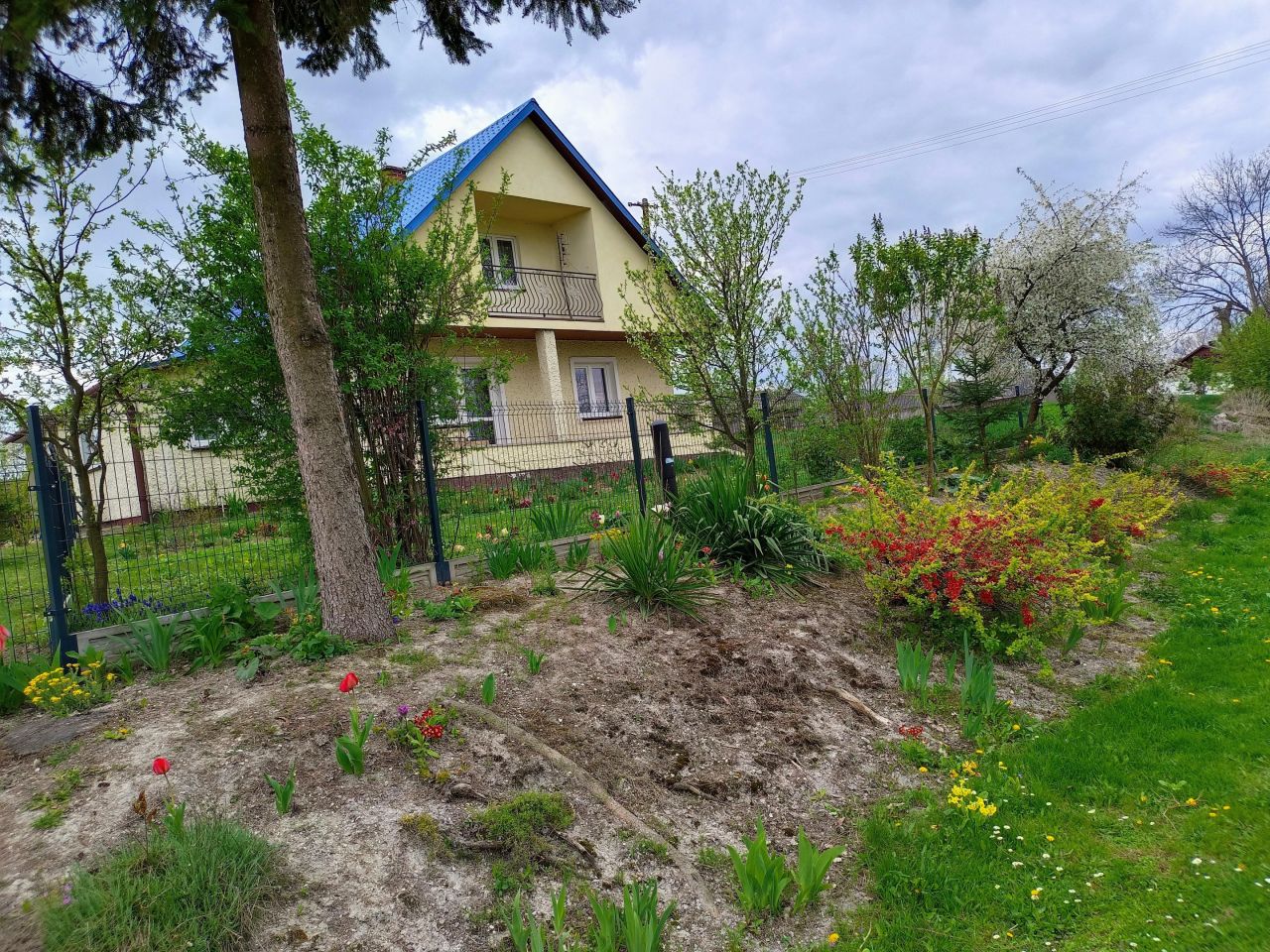 dom wolnostojący, 4 pokoje Alojzów. Zdjęcie 2