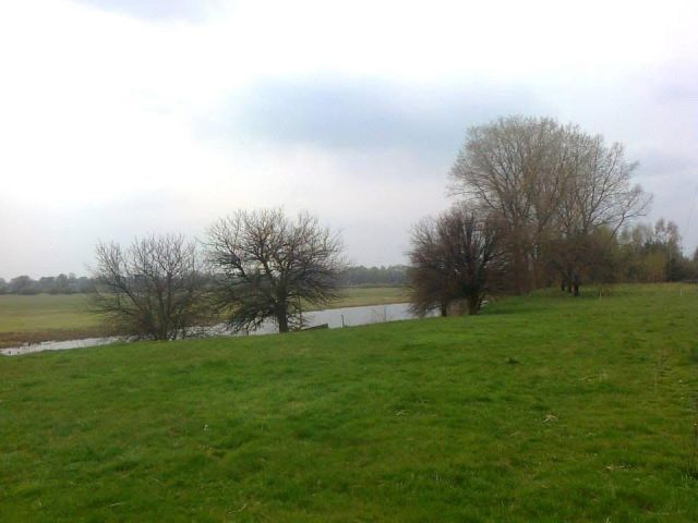 Działka rolno-budowlana Udrzyn, ul. Leśna. Zdjęcie 1