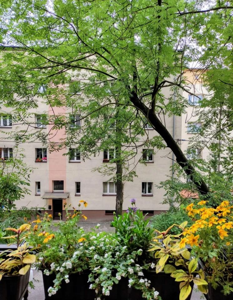 Mieszkanie 3-pokojowe Bytom Śródmieście, ul. Ignacego Chrzanowskiego. Zdjęcie 4