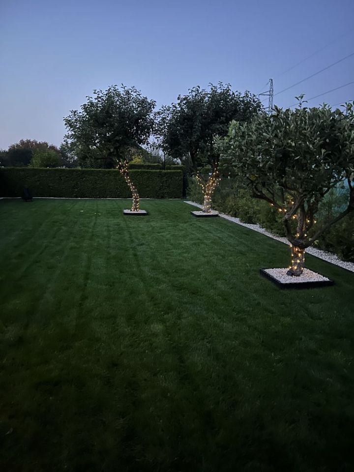 Działka rod Dębica, ul. Kwiatkowskiego. Zdjęcie 6