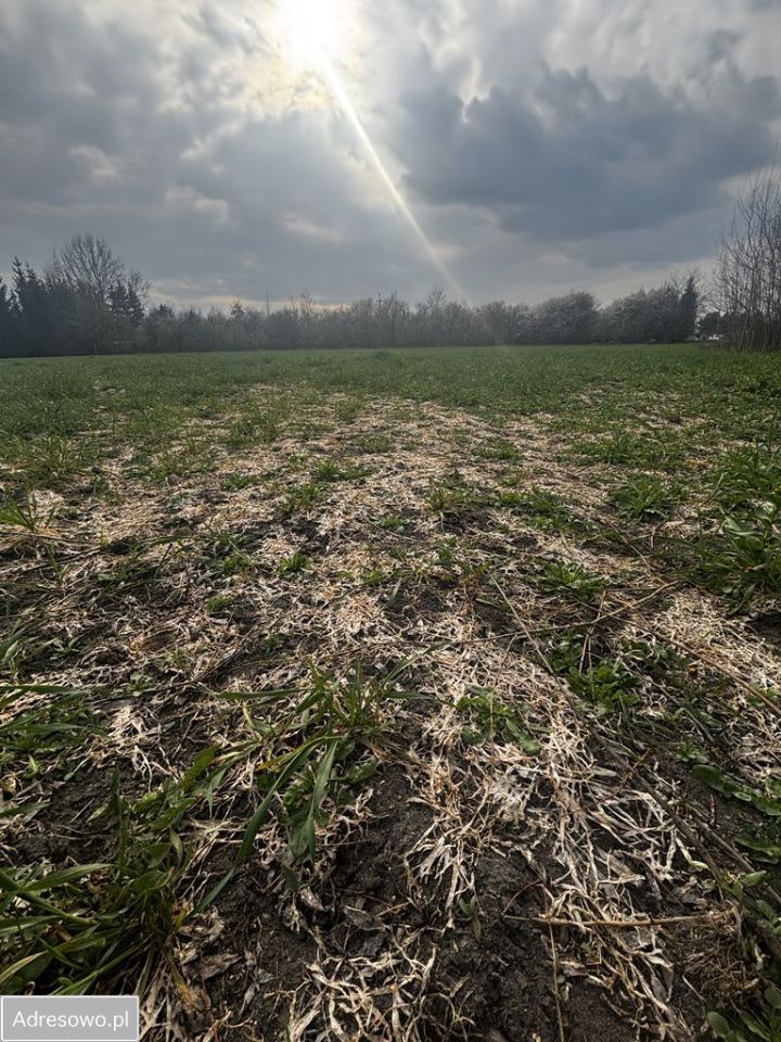 Działka rolna Ciechanów, ul. Henryka Sławika. Zdjęcie 9