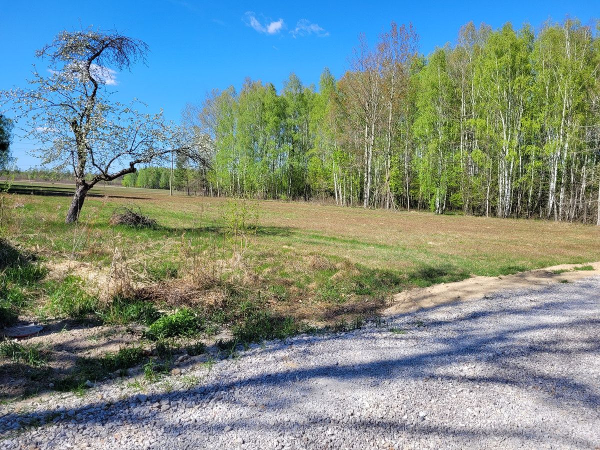 siedlisko Zaręby, ul. Kuropatwy. Zdjęcie 22