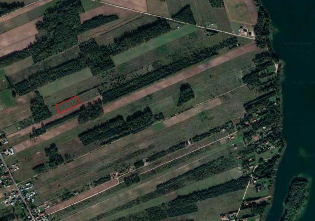 Działka budowlana Dalny Las. Zdjęcie 1