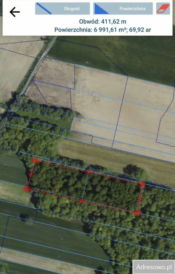 Działka leśna Krypno Kościelne. Zdjęcie 4