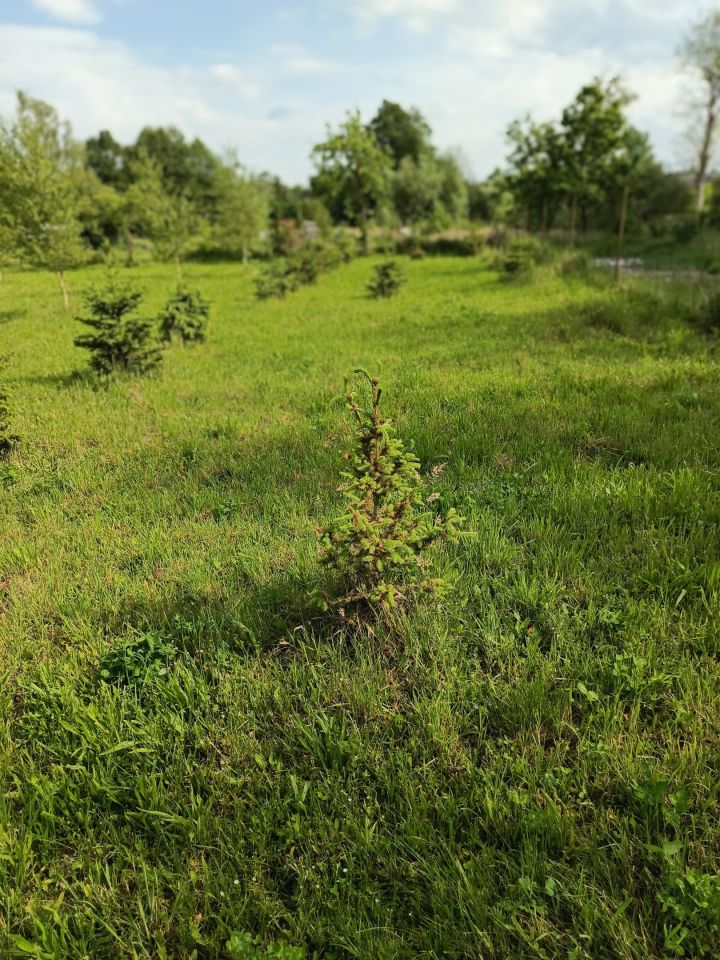 Działka rolno-budowlana Klempicz, Klępicz 20b. Zdjęcie 16