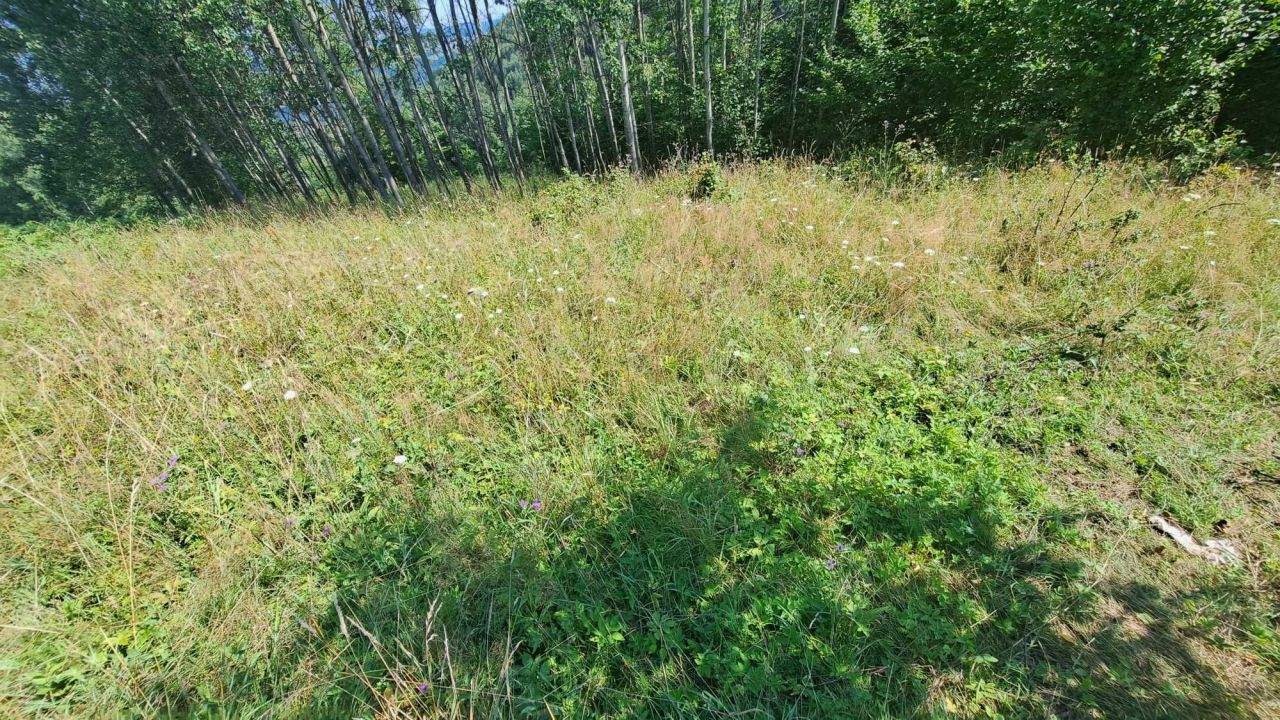 Działka rolno-budowlana Świnna Komarnik, ul. Panoramy