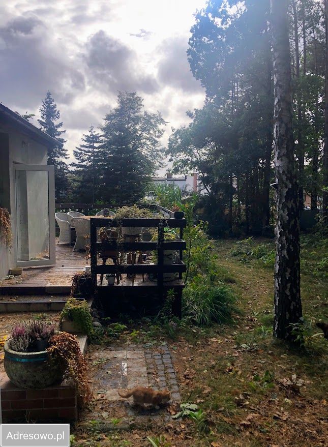 dom wolnostojący, 3 pokoje Borkowo. Zdjęcie 4