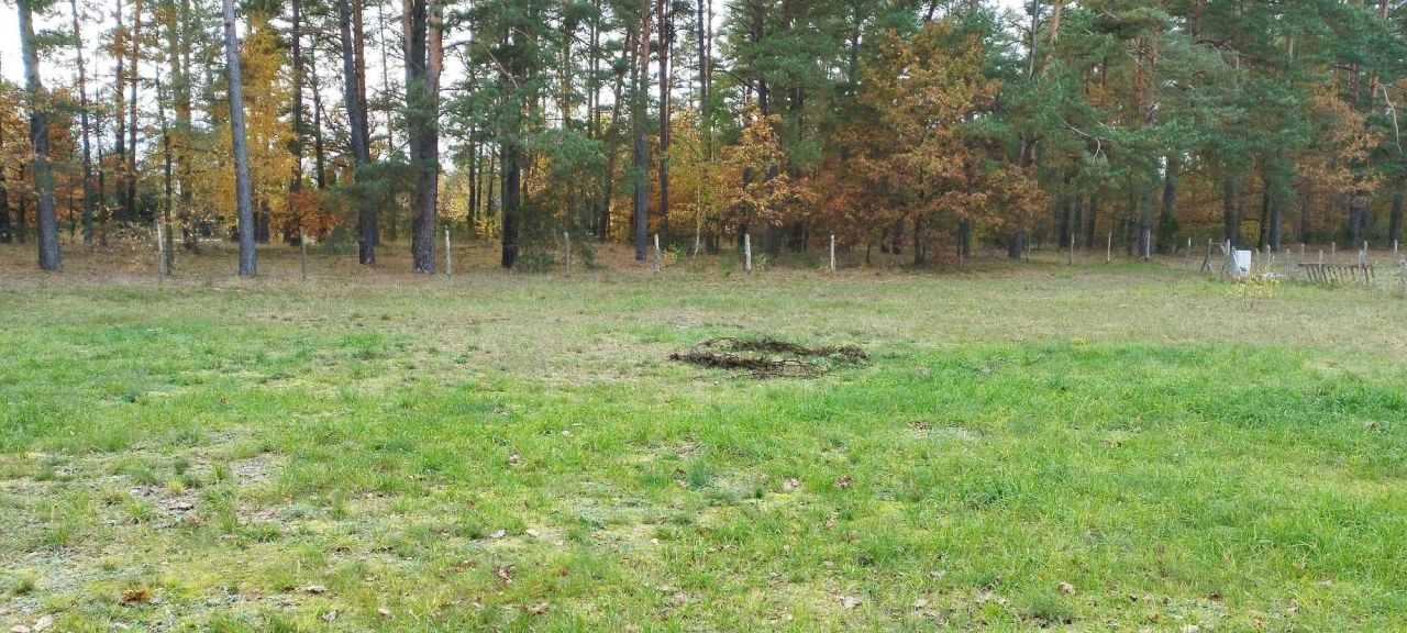 Działka rolna Rudka. Zdjęcie 6