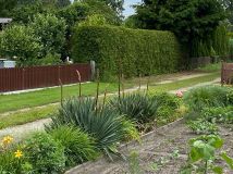 Działka rod Wągrowiec, ul. Gnieźnieńska. Zdjęcie 4