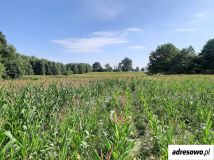 Działka rolna Krekole. Zdjęcie 4