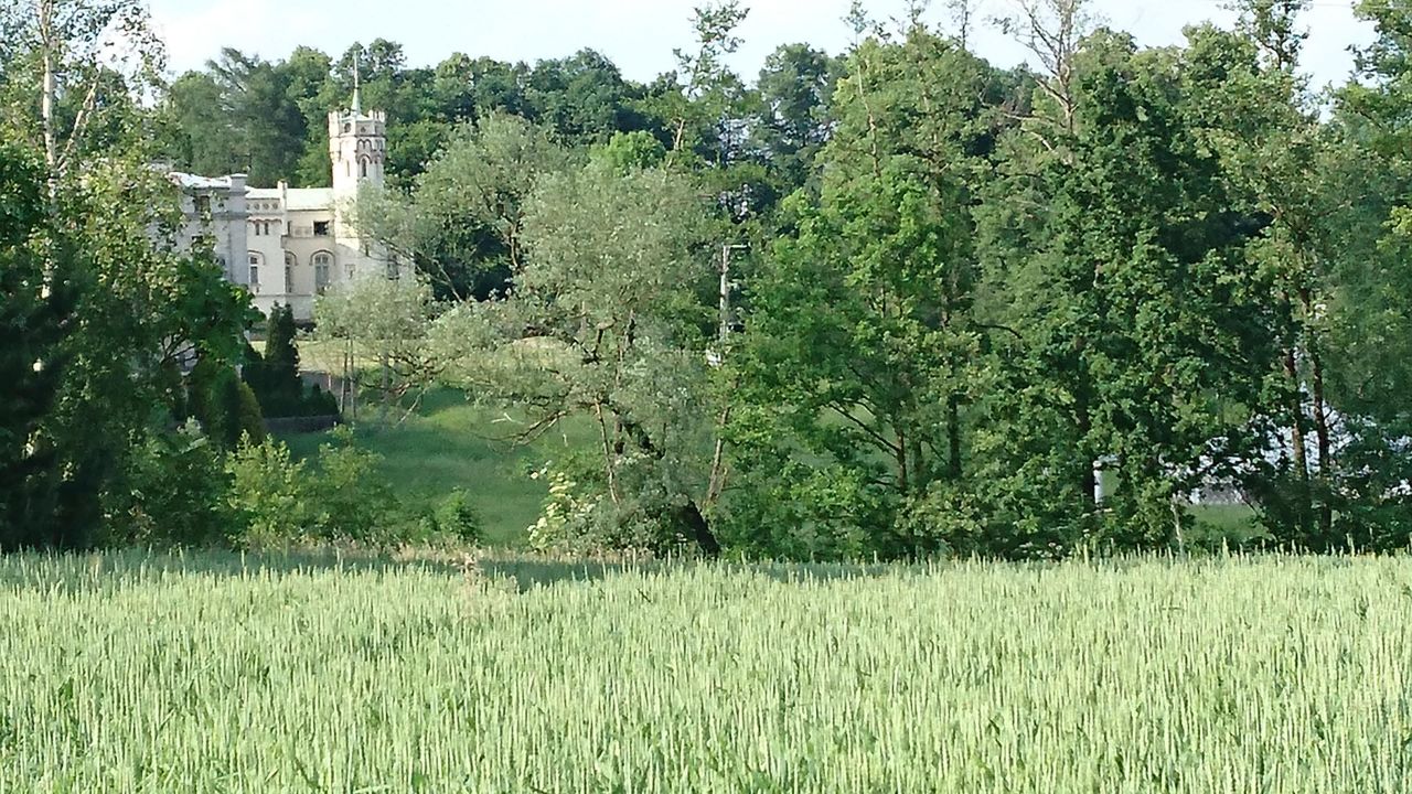 Działka budowlana Paszkówka, ul. Spokojna