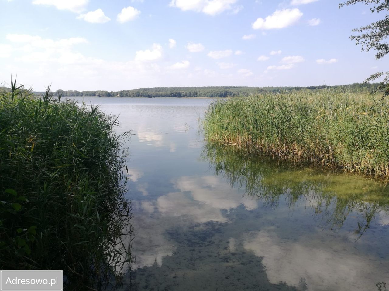 Działka budowlana Lubochnia, os. Modrze. Zdjęcie 14