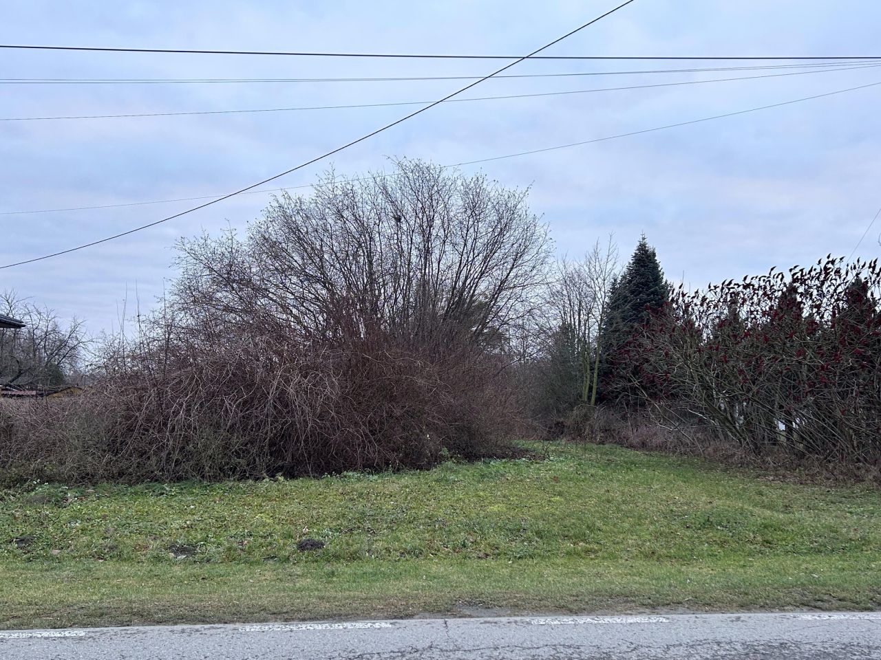 Działka budowlana Czarnolas. Zdjęcie 2