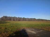 Działka leśna Załuże. Zdjęcie 4