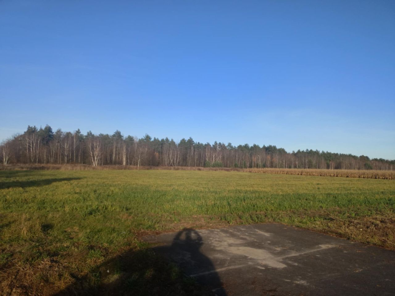 Działka leśna Załuże. Zdjęcie 5