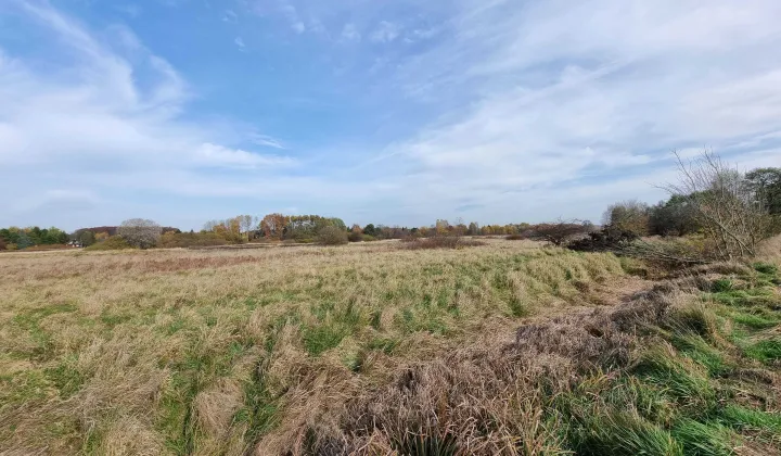 Działka inwestycyjna Morawica