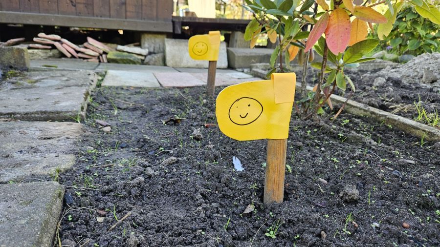 Działka rod Gdańsk Zabornia, ul. Łabędzia. Zdjęcie 11