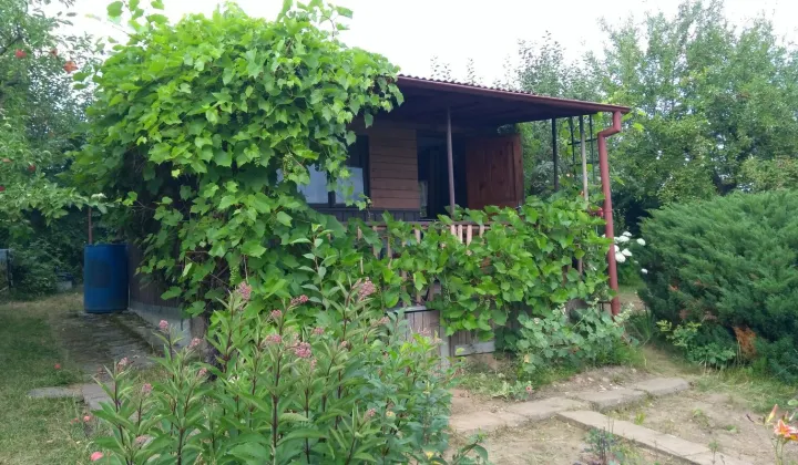 Działka rod Olsztyn, ROD Wójtowo