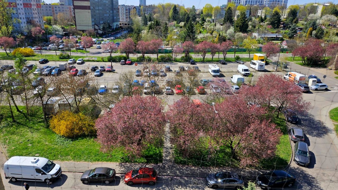 Mieszkanie 3-pokojowe Katowice Bogucice, pl. Wincentego Wajdy. Zdjęcie 10