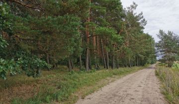 Działka leśna Płaczewo