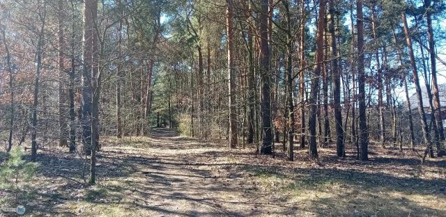 Działka budowlana Morawica. Zdjęcie 3