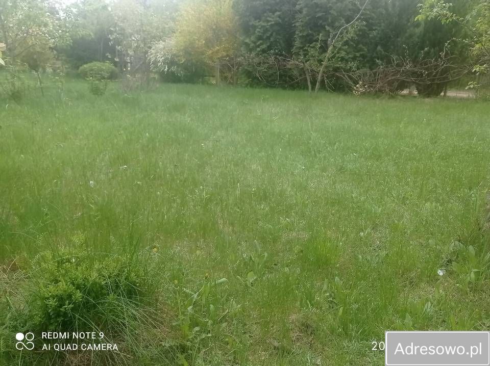 Działka rod Łódź, ul. Żeńców. Zdjęcie 5