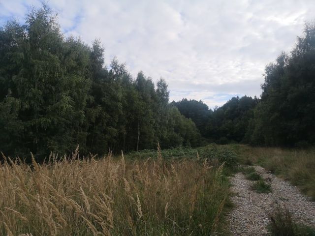 Działka budowlana Chrusty Chrusty Duże. Zdjęcie 1