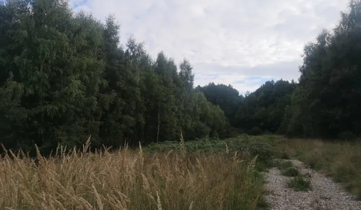 Działka budowlana Chrusty Chrusty Duże