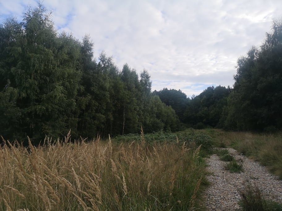 Działka budowlana Chrusty Chrusty Duże. Zdjęcie 1