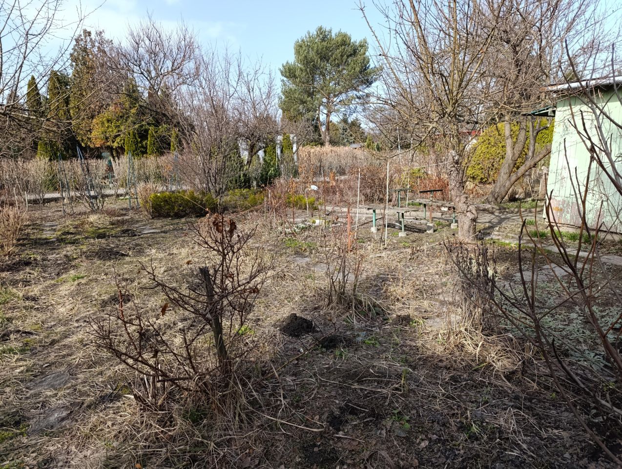 Działka rod Warszawa Włochy, ul. Sasanki. Zdjęcie 6