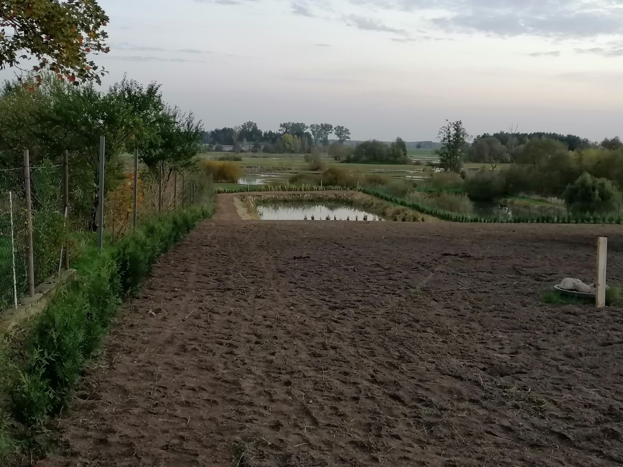 Działka siedliskowa Stara Sucha. Zdjęcie 16