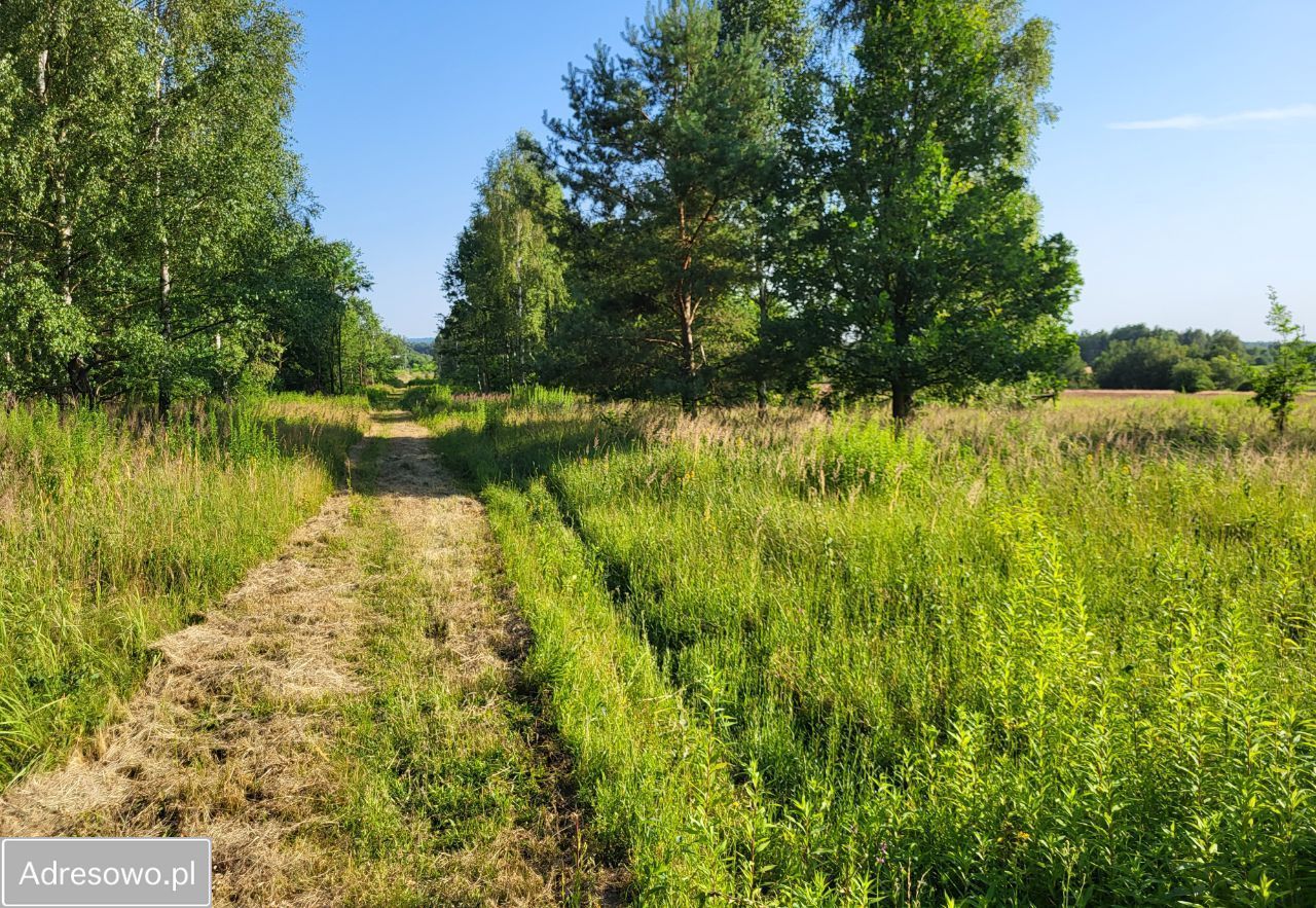 Działka budowlana Własna. Zdjęcie 13