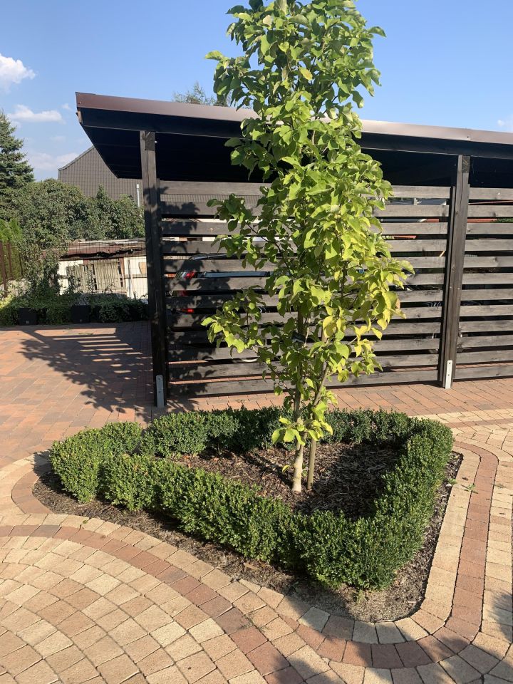 dom wolnostojący, 4 pokoje Wilkanowo, ul. Wandy Komarnickiej. Zdjęcie 5