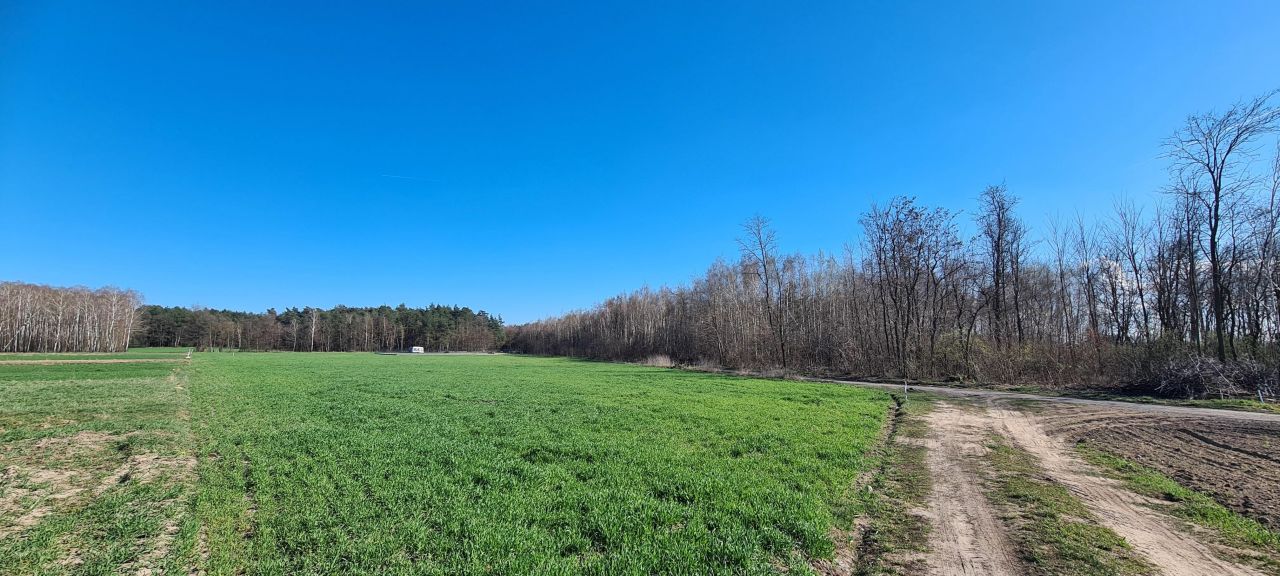 Działka budowlana Budzynek. Zdjęcie 5