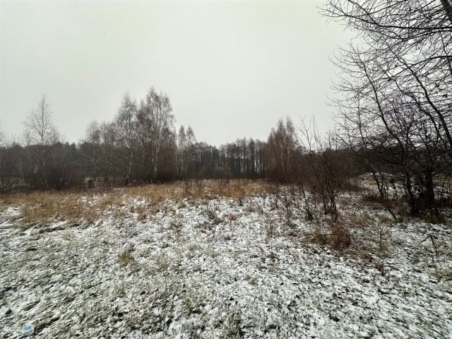 Działka rolna Śladków Duży. Zdjęcie 14