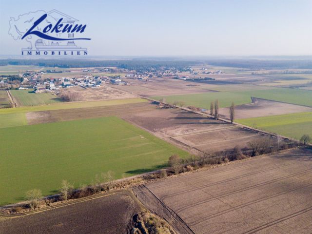 Działka siedliskowa Przybyszewo. Zdjęcie 5