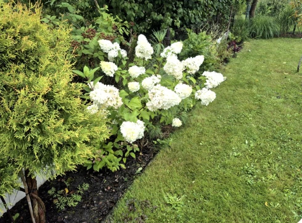 Działka rekreacyjna Zabrze, ul. Opawska. Zdjęcie 14