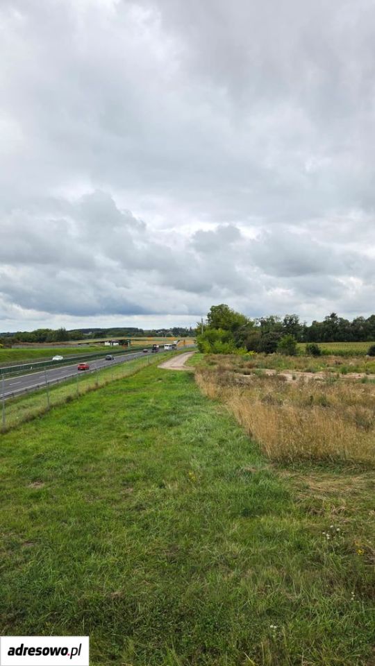 Działka inwestycyjna Żółtki. Zdjęcie 7