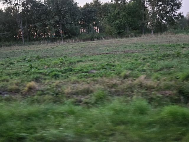 Działka budowlana Radomyśl Wielki, ul. Kąty. Zdjęcie 1