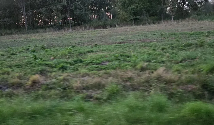 Działka budowlana Radomyśl Wielki, ul. Kąty