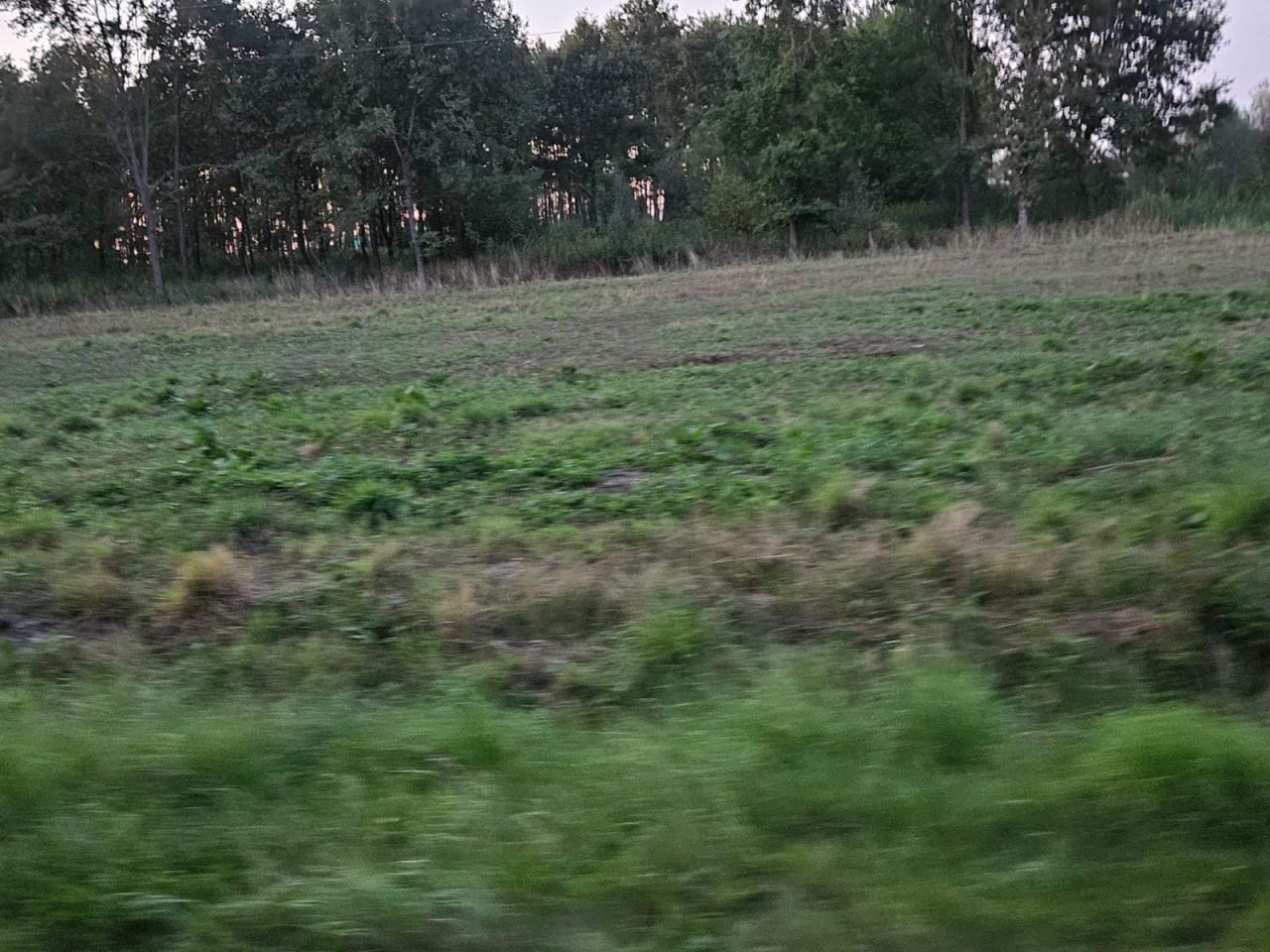 Działka budowlana Radomyśl Wielki, ul. Kąty. Zdjęcie 1