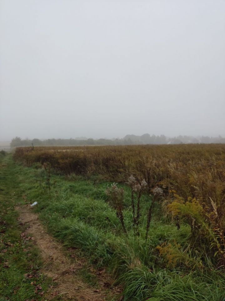 Działka rolna Owczary