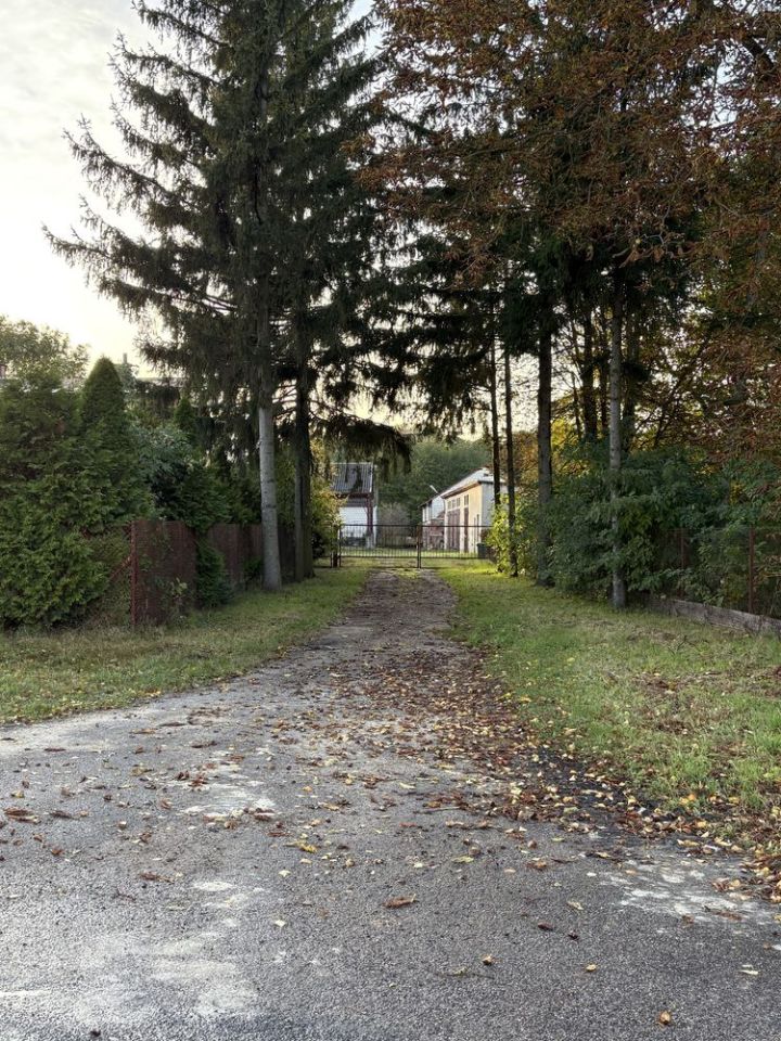 siedlisko Ostaszewo. Zdjęcie 6