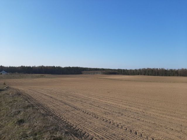 Działka siedliskowa Bukowina. Zdjęcie 1