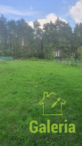 Działka budowlana Dolice. Zdjęcie 1