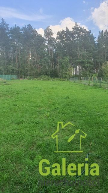 Działka budowlana Dolice